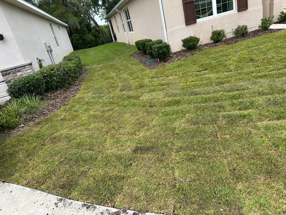 All Photos for Gulf Bay Sod in Clearwater, FL