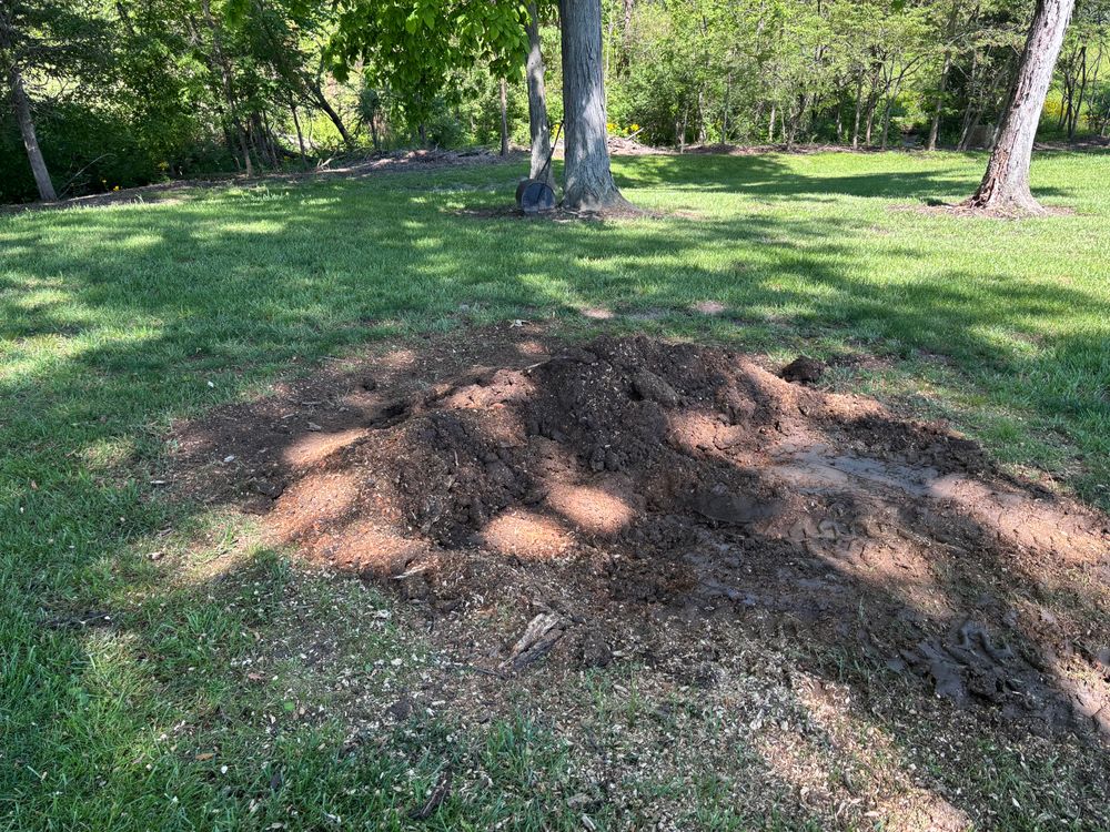 All Photos for Conrad's Stump Removal in Columbus, IN