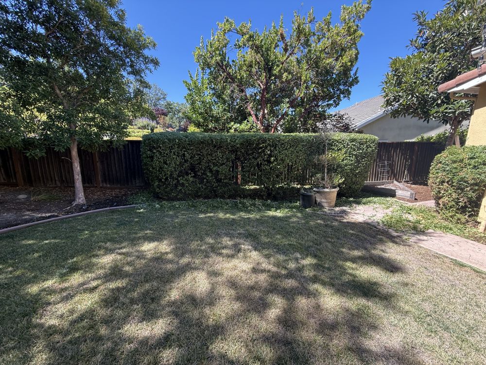 All Photos for CBA Landscaping in Hayward, CA