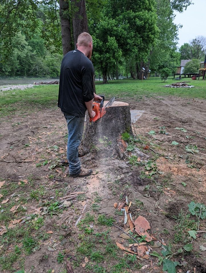 All Photos for Wade's Family Tree Service in Townsend, TN