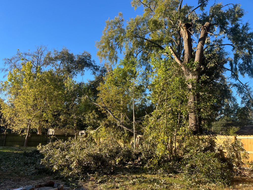 All Photos for JC Land and Tree Service in Kilgore, TX