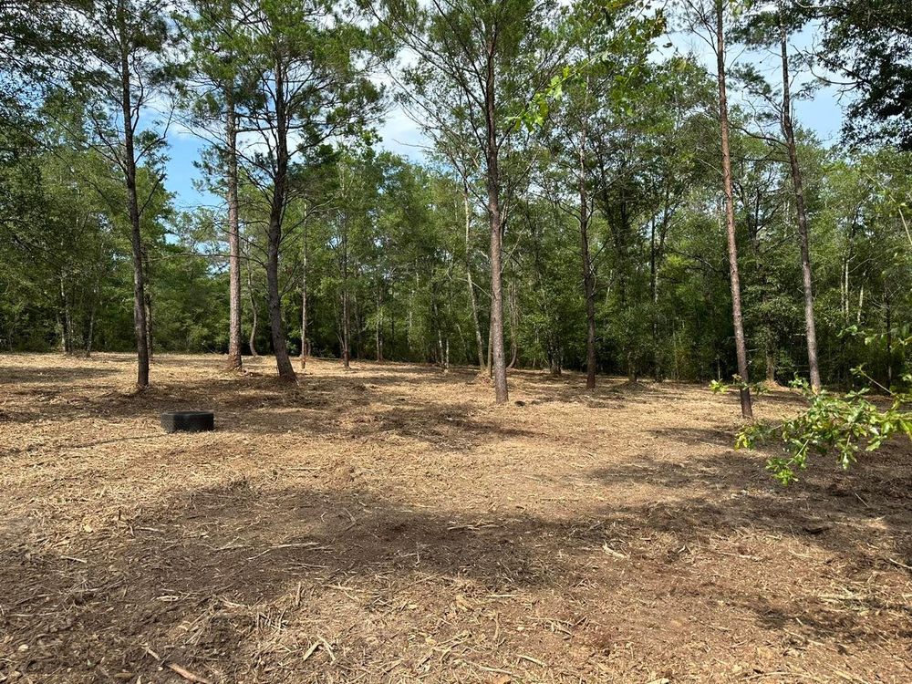 All Photos for White’s Land Maintenance in Milton,, FL