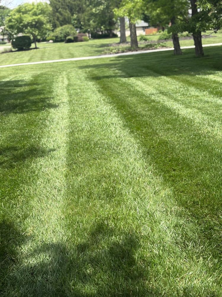 All Photos for Red Beard Lawn Care in Chillicothe, OH