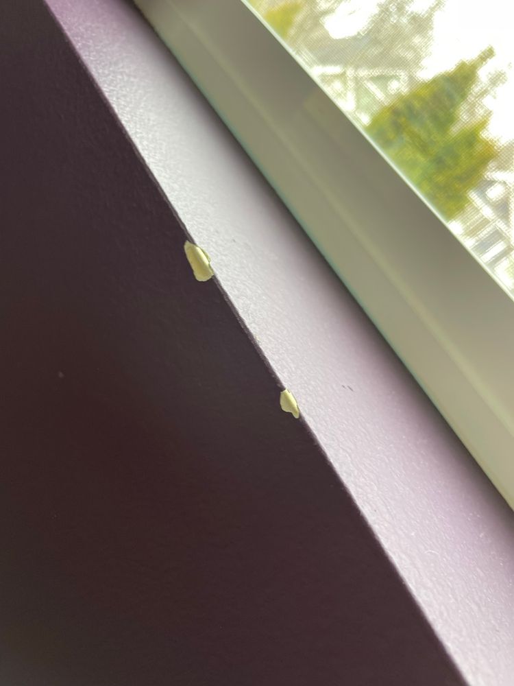 All Photos for Tony's Remodeling & Painting in Renton, WA