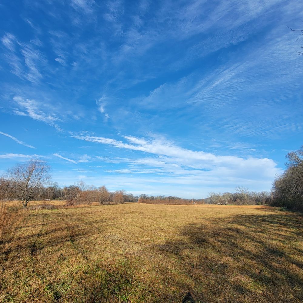 All Photos for Z's Land Management & Forestry Mulching in Smithville, TN