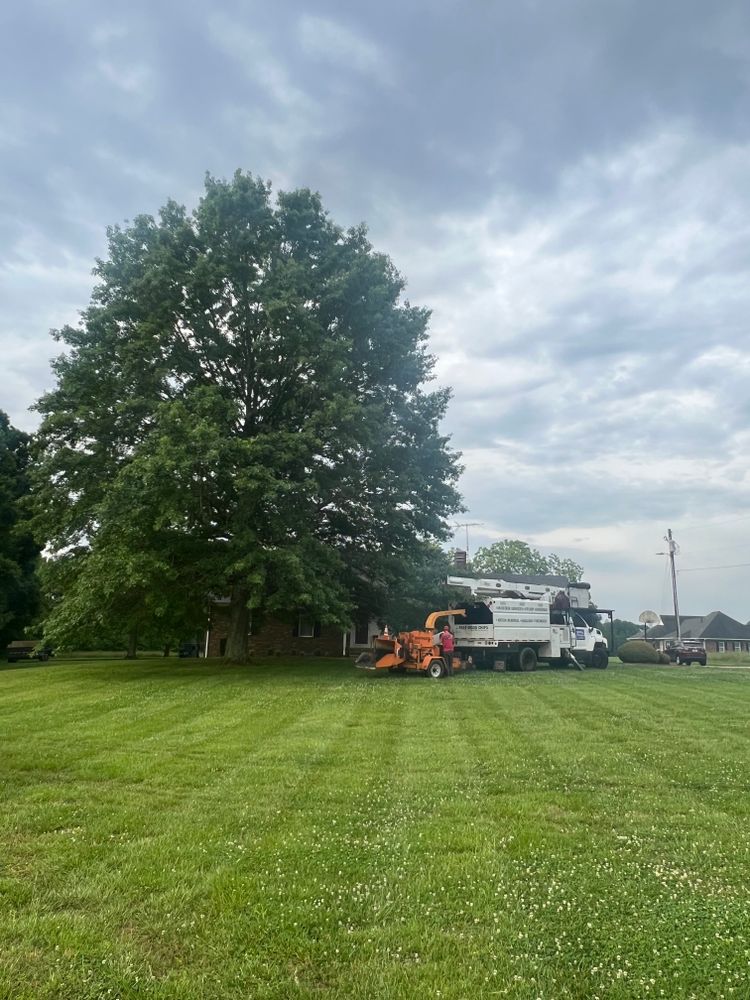 All Photos for Brooks Tree Service in Casar, NC