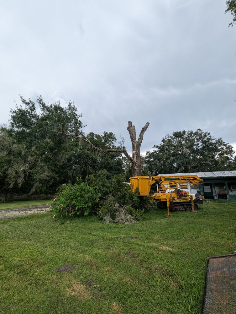 All Photos for Regal Tree Service and Stump Grinding in Wauchula, FL