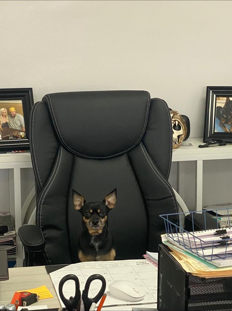 All Photos for Precision Remodeling and Property Maintenance  in Detroit, MI