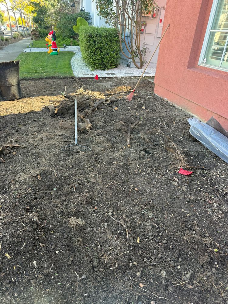 All Photos for CBA Landscaping in Hayward, CA