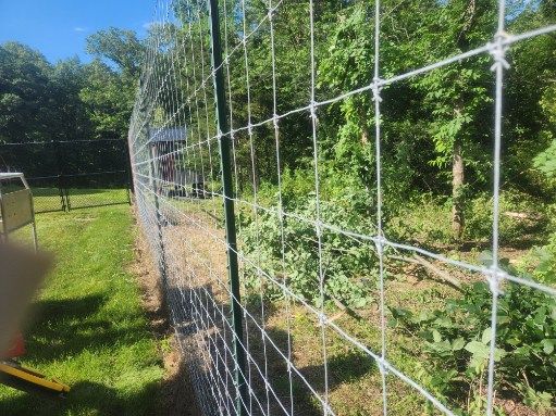 All Photos for Lawn Ranger Yard And Tree Service LLC in Ottumwa, IA