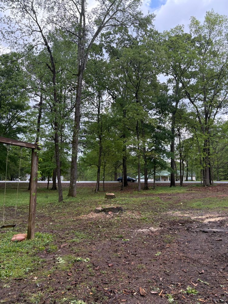 All Photos for T N L - Tree and Land Service in Reynolds, GA