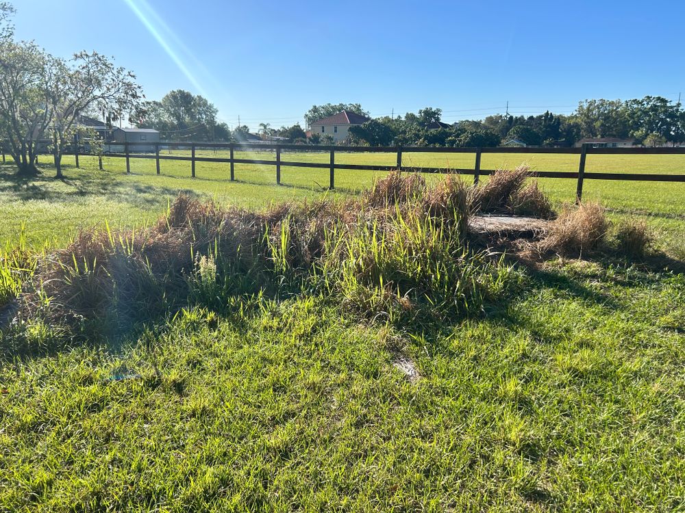 All Photos for Greene Acres Stump Grinding in Plant City, FL