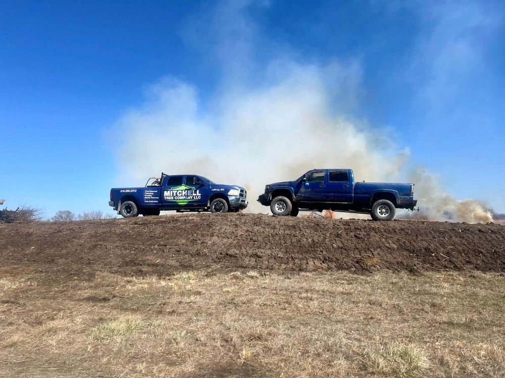 All Photos for Mitchell Tree Company in Lathrop, MO