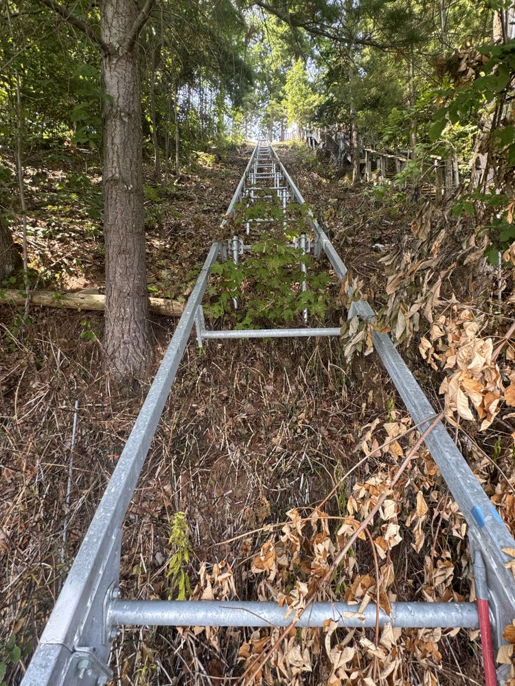 Landscaping Lawn Care for Daugherty's Tough Lawn Care in Essexville, MI