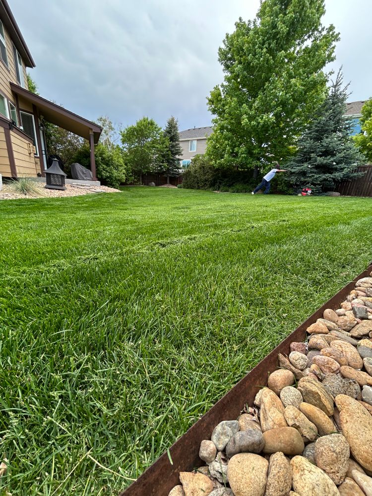 Lawn Care for Denver Bros Lawn Control in Denver, CO