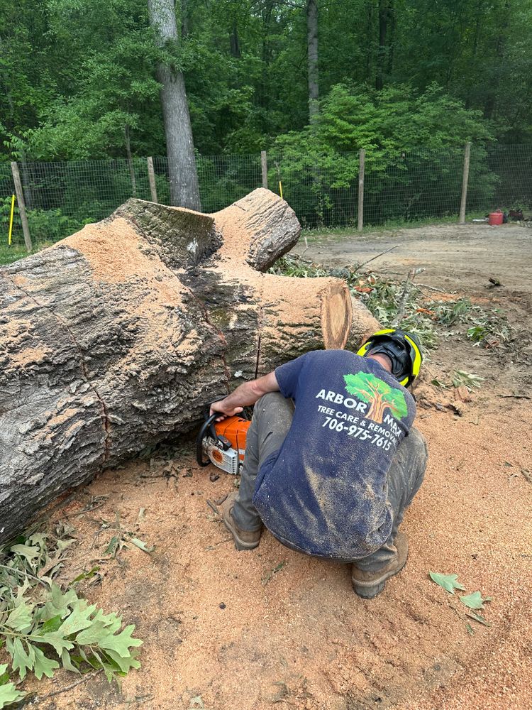 All Photos for ArborMax in Thomaston, GA