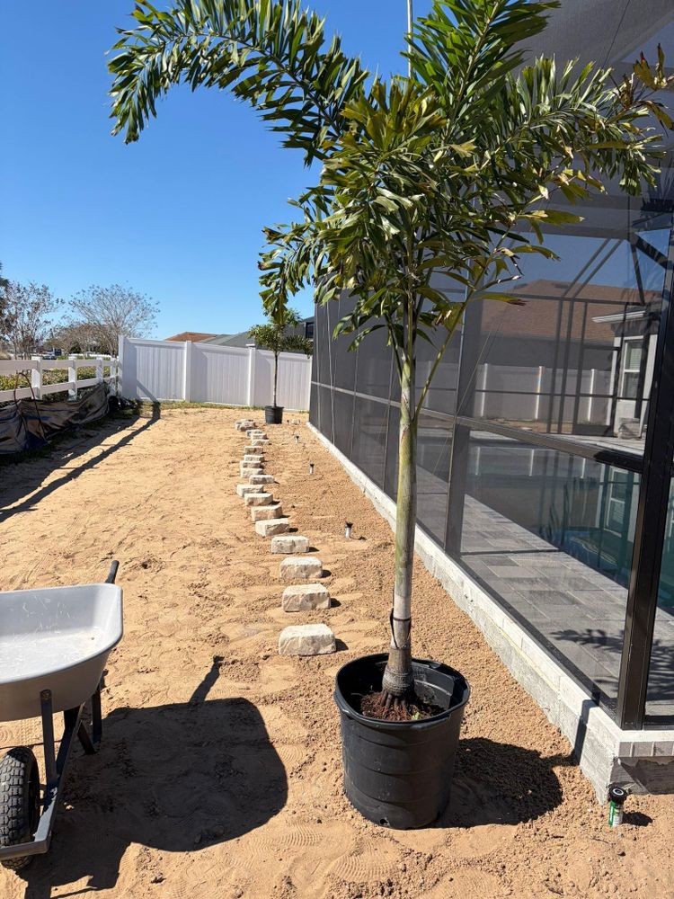 All Photos for Estrada All Pro Lawn Service in Auburndale, Florida