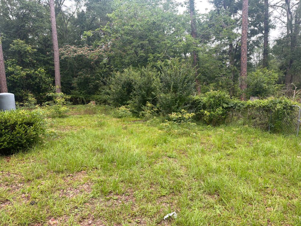 All Photos for Brandon Woodard’s Lawncare in Ludowici, GA