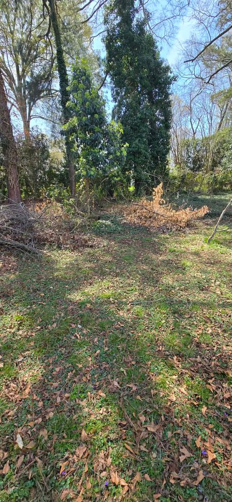 All Photos for Toney Site Services LLC in Rutherford County, NC