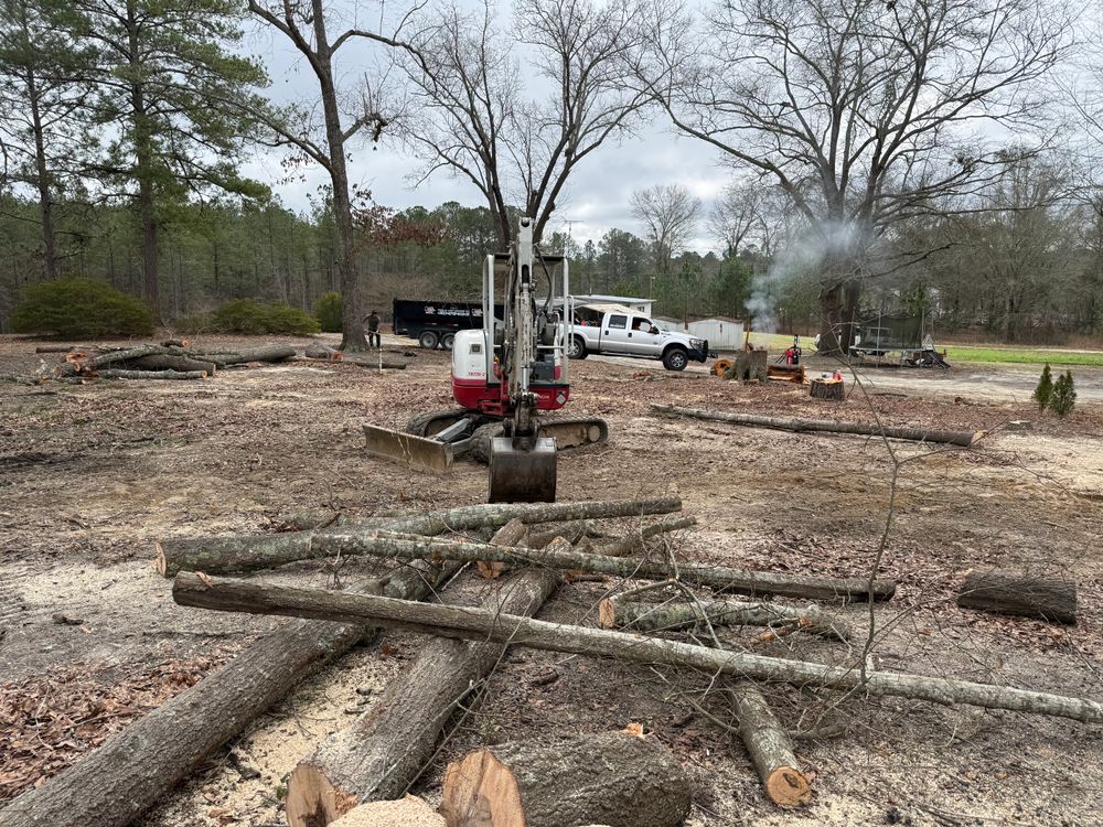 All Photos for T N L - Tree and Land Service in Reynolds, GA