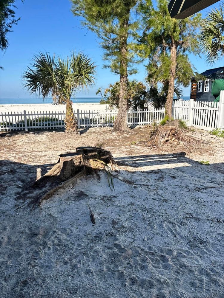All Photos for KB’s Stump Removal in Seminole, FL