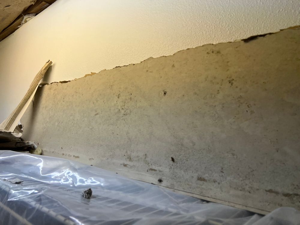 Mold Remediation for N&D Restoration Services When Disaster Attacks, We Come In in Cape Coral,  FL