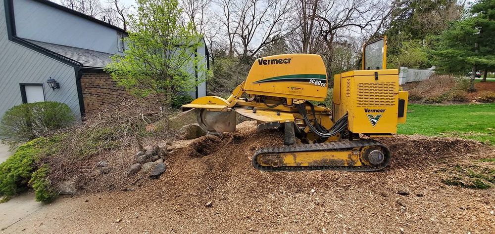 Stump Grinding & Removal for F & F Tree Service in Beavercreek, OH