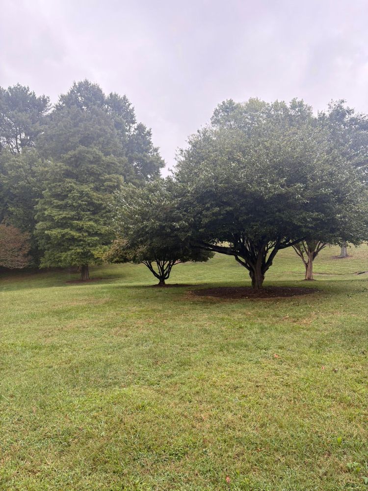 All Photos for Queen’s Landscaping in Kernersville, NC