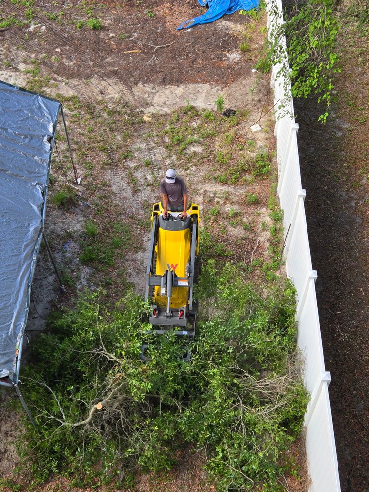 All Photos for Near Me Tree Service, Inc. in DeLand, FL