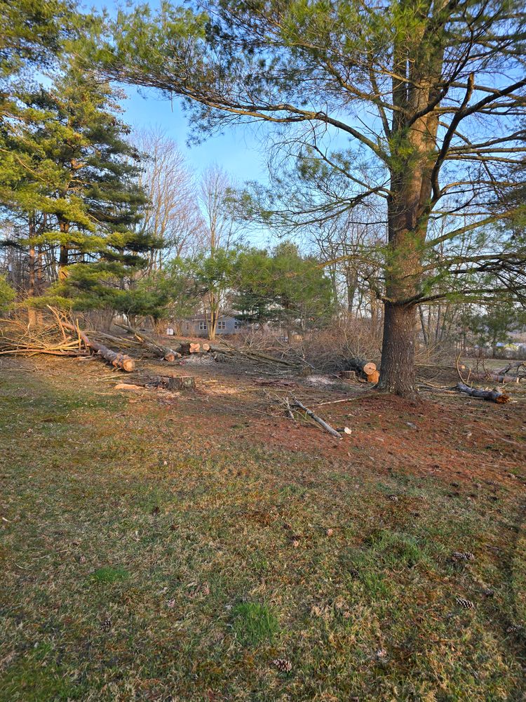 All Photos for Down Home Landscaping in Stillwater, PA