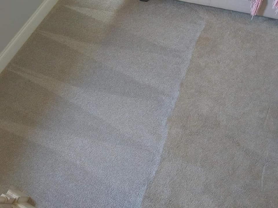 Carpet Cleaner for Steam Bros LLC in Greensboro, NC