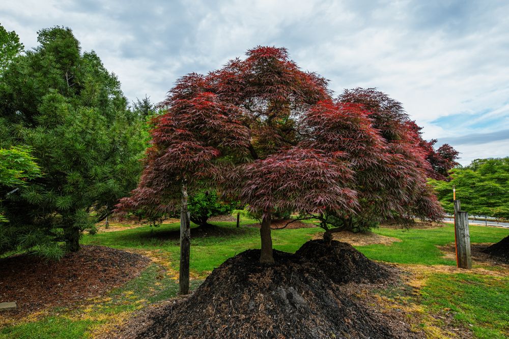 All Photos for  in Morristown, NJ