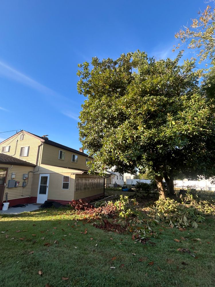 All Photos for Hingewood Tree Service in Salem, NJ