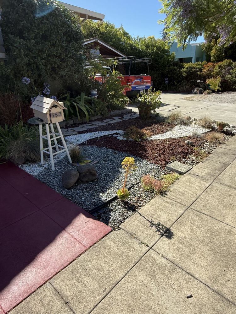 All Photos for CBA Landscaping in Hayward, CA