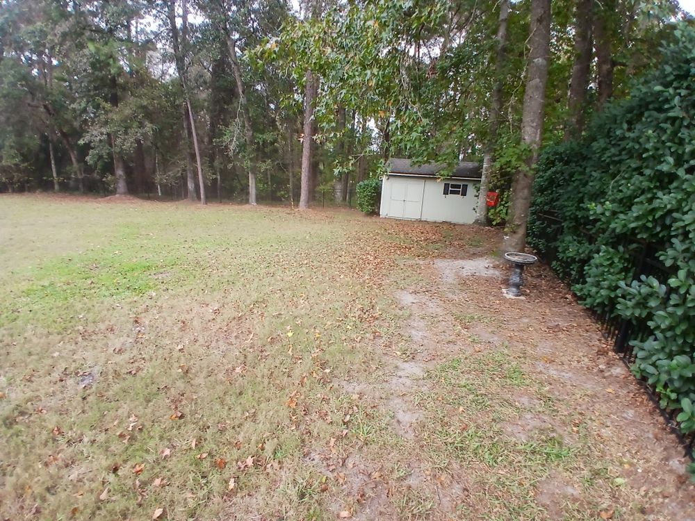 All Photos for Whole 9 Yards Services in Green Cove Springs, FL