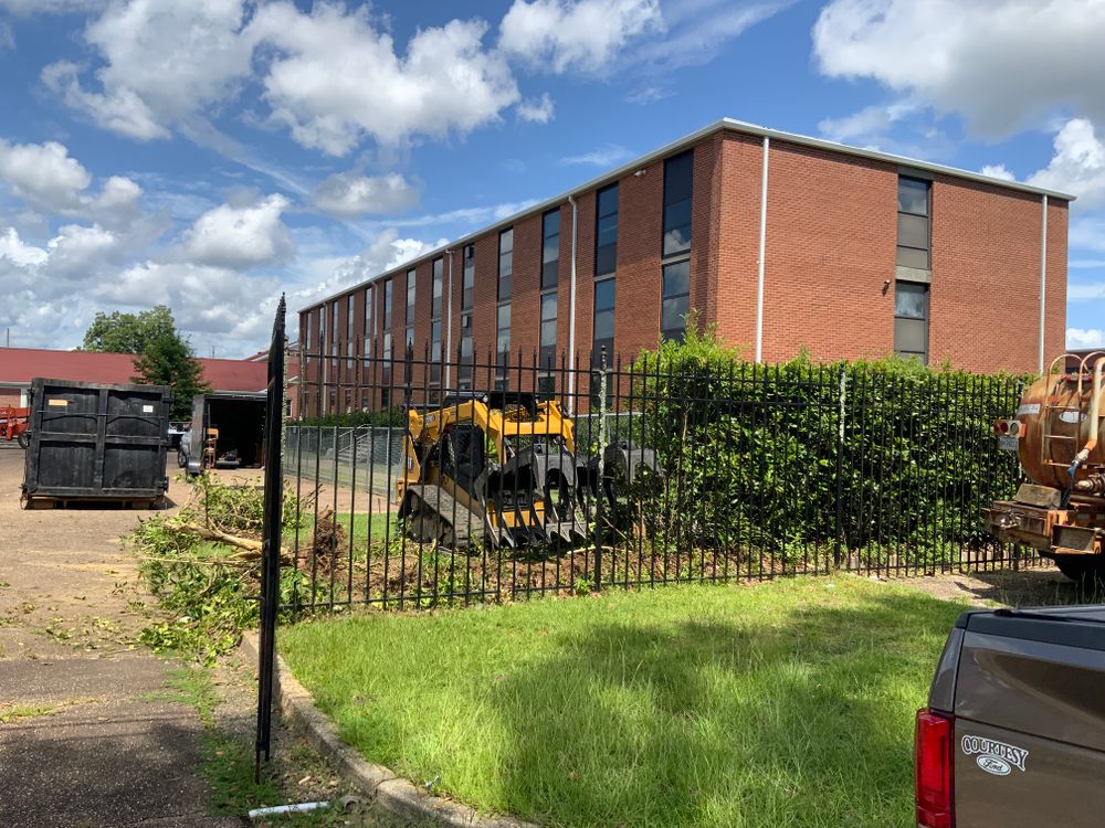 Tree Removal for Broadway & McMullen Construction in Hattiesburg, MS
