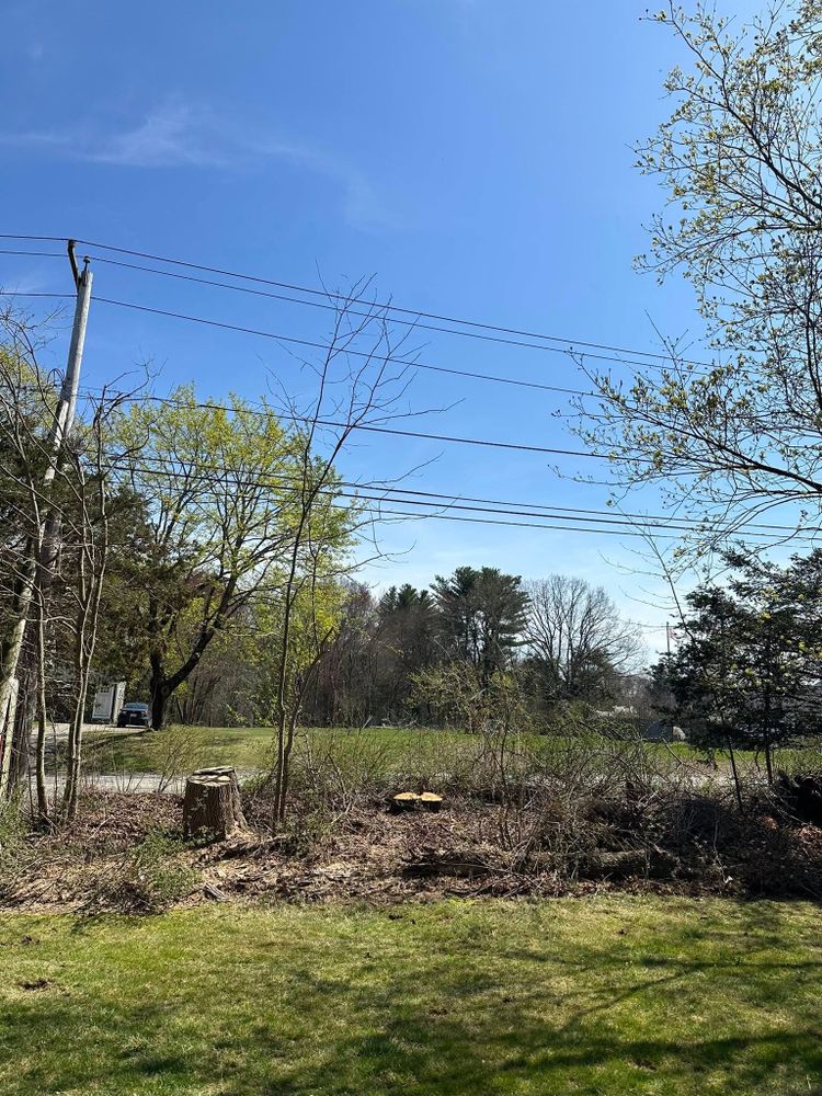 All Photos for Silver City Tree and Landscape in Taunton, MA
