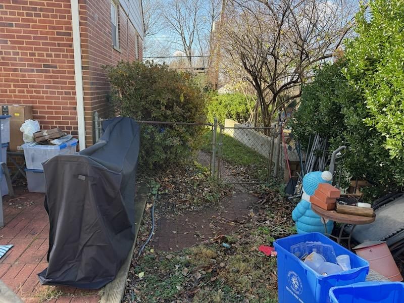 All Photos for DIAZ TREE in Stafford, VA