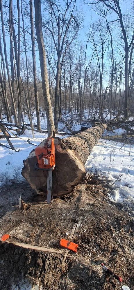 All Photos for God's Country Timber Management in Hillsdale, MI