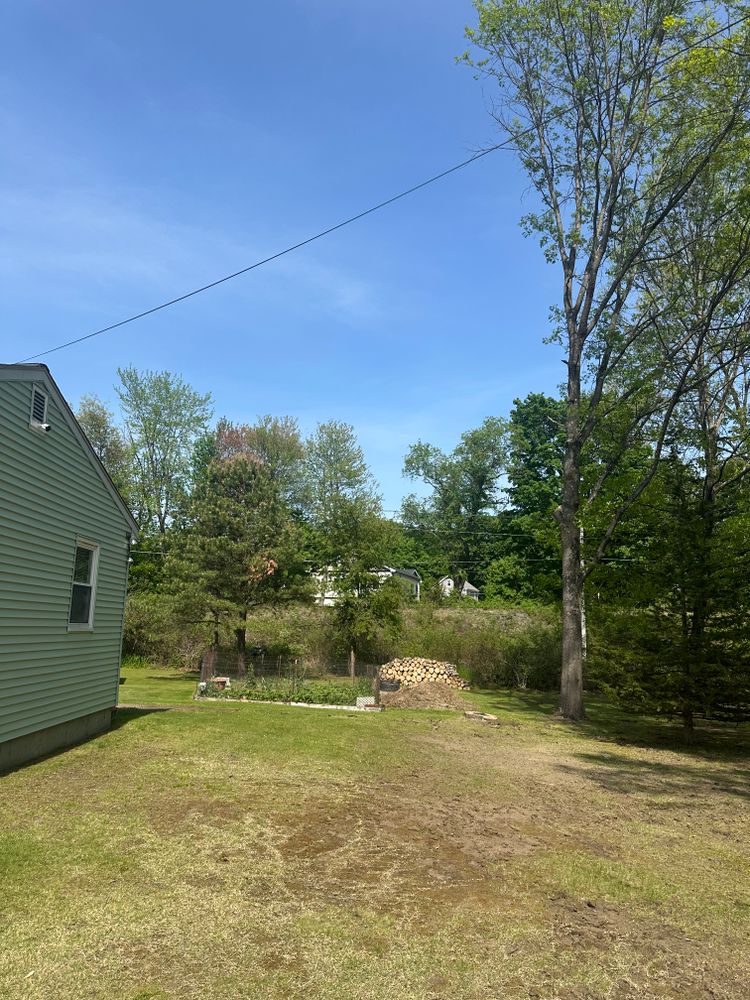 All Photos for Leaf and Limb in Townsend, MA