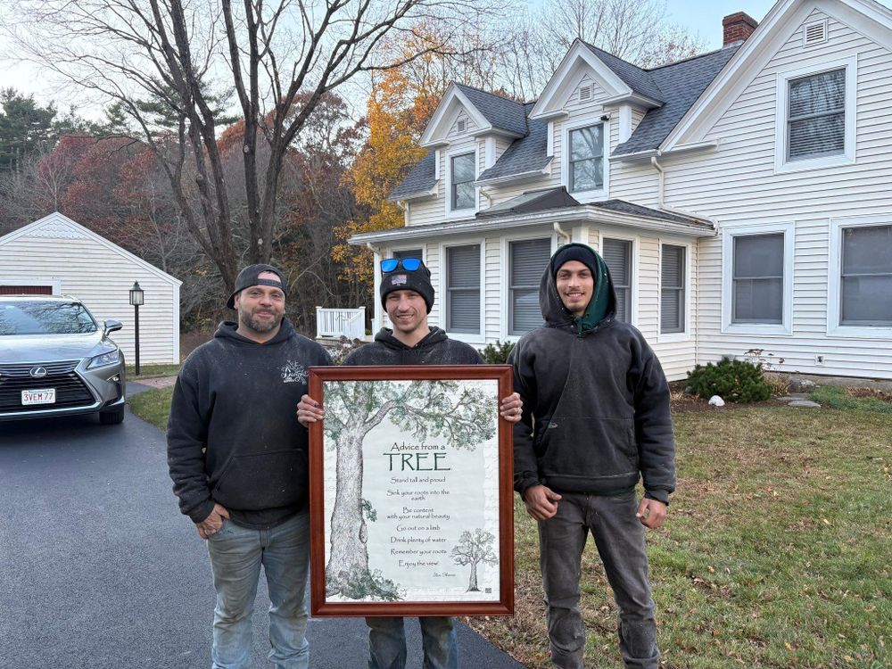 All Photos for Dwights Tree Service in Middleborough, MA