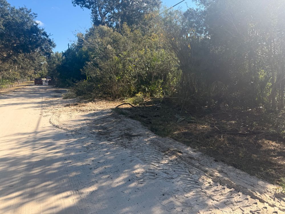 All Photos for Amerigrown Tree And Lawn in Apopka, FL