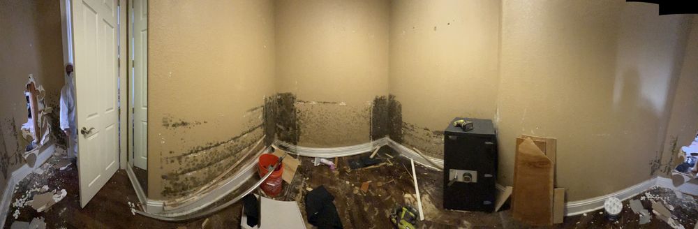 Mold Remediation for N&D Restoration Services When Disaster Attacks, We Come In in Cape Coral,  FL