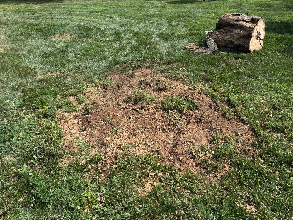 All Photos for Conrad's Stump Removal in Columbus, IN