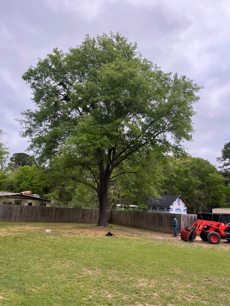 All Photos for JC Land and Tree Service in Kilgore, TX