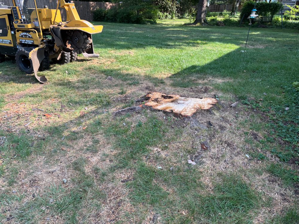 All Photos for Conrad's Stump Removal in Columbus, IN
