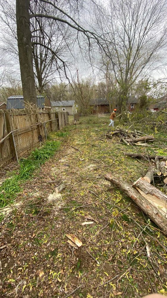 Tree Removal for SMITHs Tree Service in Columbus, IN