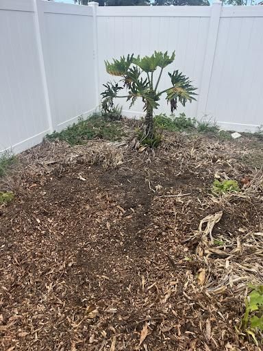 All Photos for KB’s Stump Removal in Seminole, FL