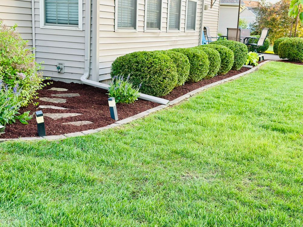 All Photos for Manny's Cleaning,Lawn Care & Snow Removal Services in Champaign, IL