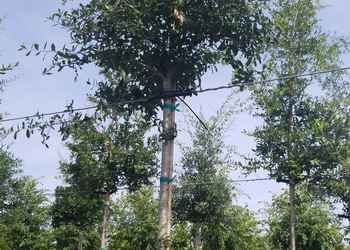 All Photos for Cunningham's Lawn & Landscaping LLC in Daytona Beach, Florida